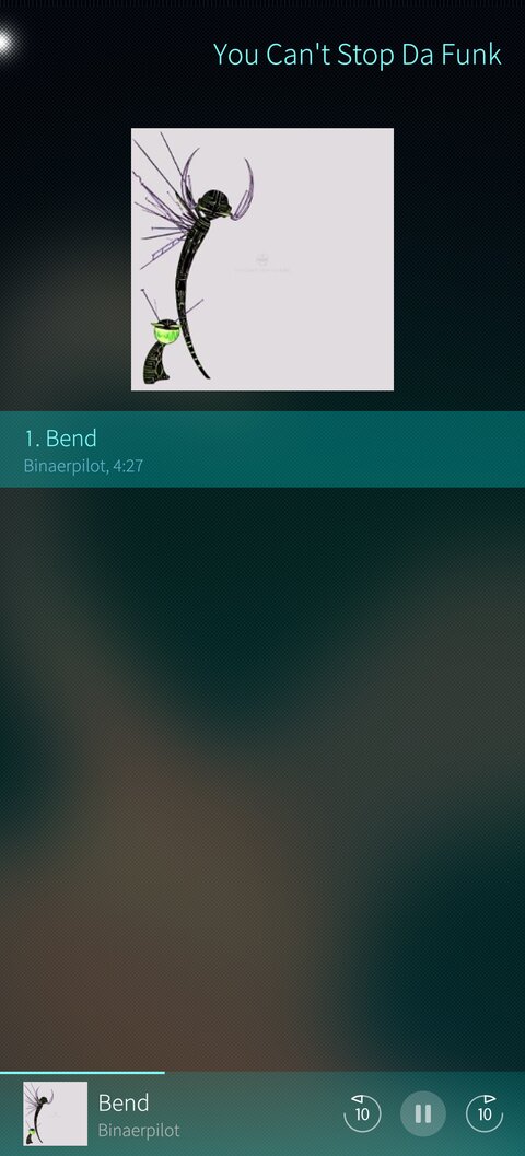 An album with its tracks